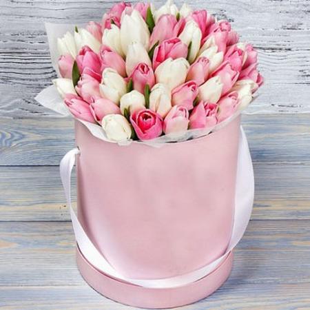 49 белых и розовых тюльпанов в белой коробке